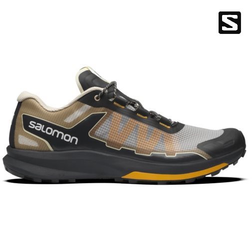 Tenis Salomon Ultra Raid Masculino Pretas Cinzentas Marrom | PT U41850